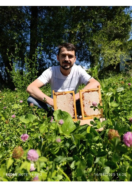 Petek Çiçek Balı 3 Kilogram indirimleri