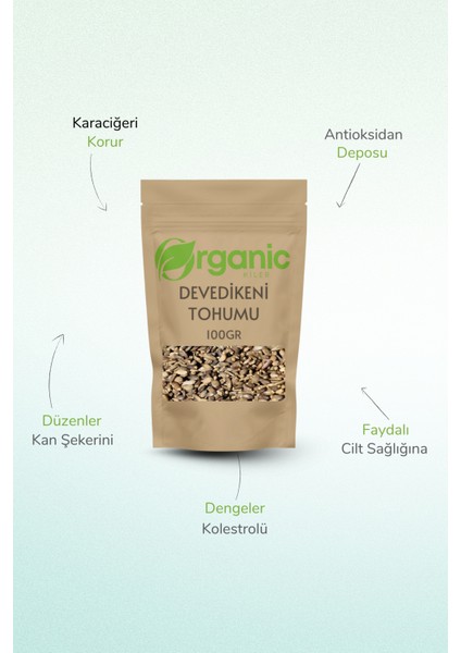 Devedikeni Tohumu 100GR Elenmiş Yeni Mahsül Organik fiyatları