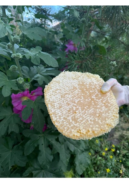 Karakovan Balı 3 Kilogram fiyatları