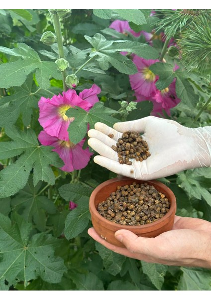 Perga Arı Ekmeği 200 Gram
