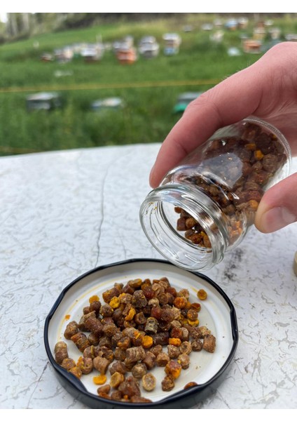 Perga Arı Ekmeği 200 Gram modelleri