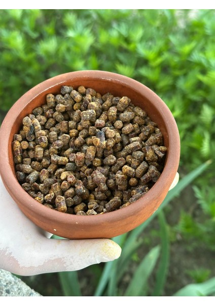 Perga Arı Ekmeği 200 Gram fırsatları