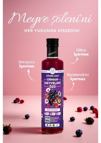 Orman Meyveleri Özü 640 gr fiyatları