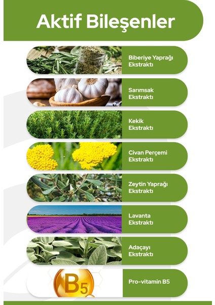 Biberiye Özlü Saç Bakım Toniği Saç Dökülme Karşıtı & Hızlı Saç Uzatma Etkili %100 Doğal Sprey 100ml fiyatları