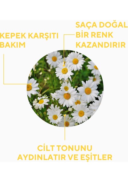 Doğal Papatya Suyu 100 ml – Vegan Saç Bakım Spreyi, Günlük Kullanımda Parlaklık ve Kepek Önleyici Etki modelleri