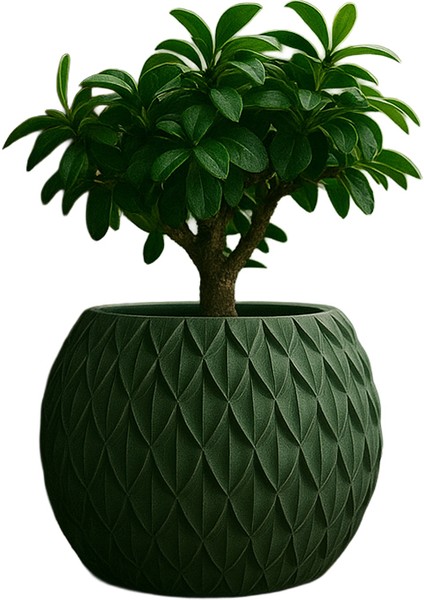 Yeşil Modern Tasarım Dekoratif Saksı