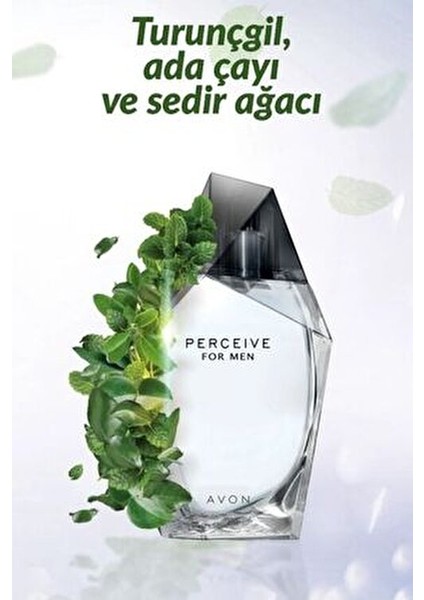 Perceive Erkek Parfüm Edt 100 ml ve Tta Wonder Kadın Parfüm Edp 50ML fiyatları