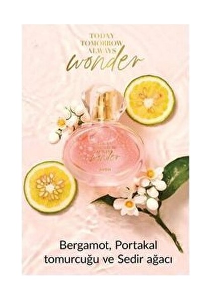Perceive Erkek Parfüm Edt 100 ml ve Tta Wonder Kadın Parfüm Edp 50ML fırsatları