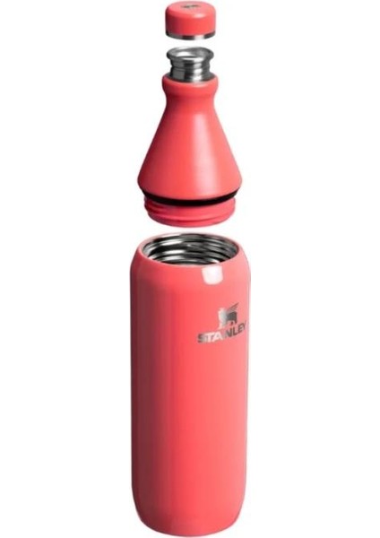 The All Day Slim Bottle 0.6l / 20OZ Hot Coral Gloss fiyatları
