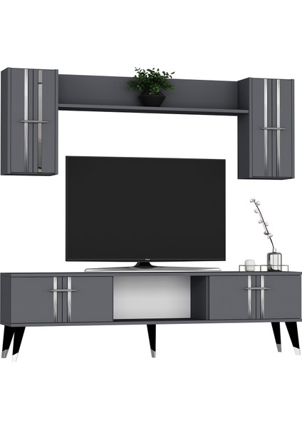 Assel Tv Ünitesi Takımı Antrasit-Gümüş modelleri