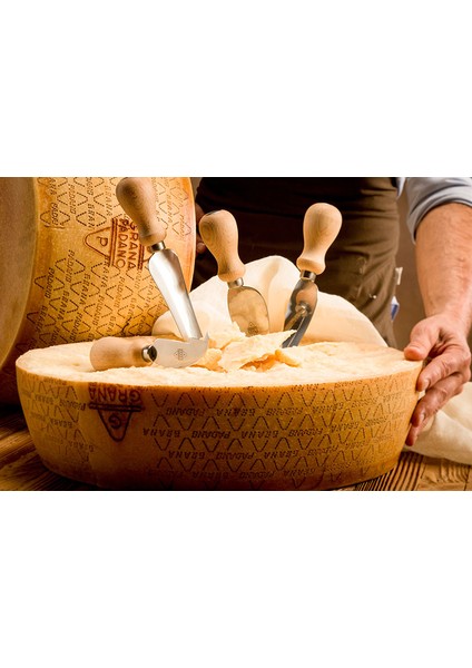 Grana Padano Parmesan peyniri 200 gr modelleri