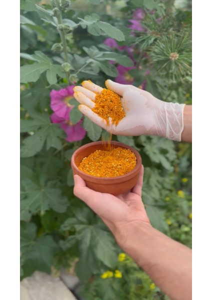 Polen 800 Gram fiyatları
