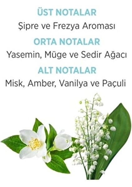 Emotion Edt+Deo Kofre Aqua Kiss fiyatları