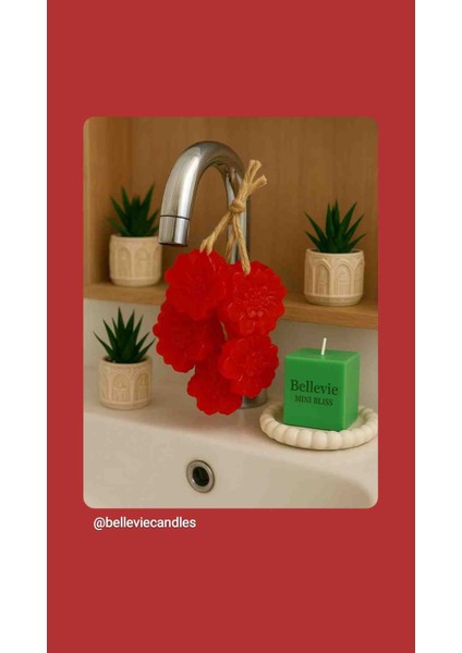 Üzüm Salkımı Sabunlarım modelleri