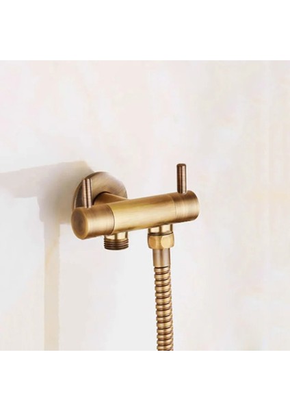 Banyo Bide Basınçlı Püskürtücü Taharet Musluğu Klozet Hortumu Antik Renk Ithal 7 Yıl Garantili modelleri