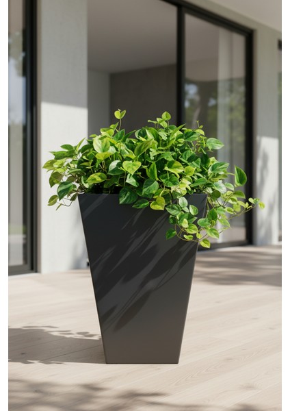 Zenith 60 cm Dikey Metal Antrasit Saksı - İç ve Dış Mekan Modern Dekoratif Saksılık (60x35/25 cm)