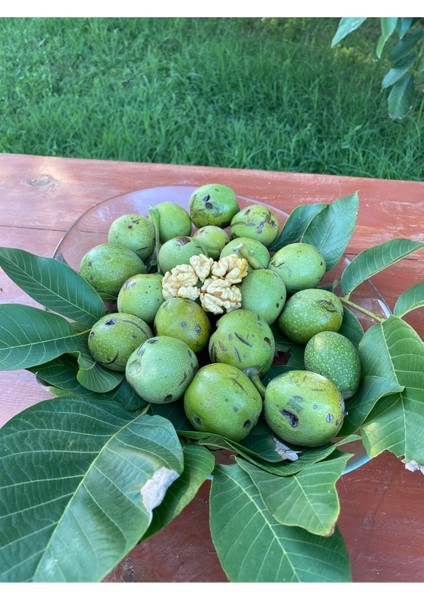 5 kg Dalından Yeşil Kabuklu Gönderim Taze Süt Ceviz fiyatları