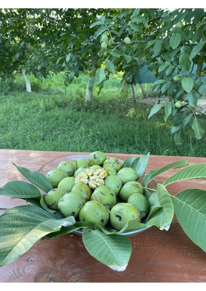 1 kg Dalından Yeşil Kabuklu Gönderim Taze Süt Ceviz ( Lütfen Açıklamayı Okuyunuz) fiyatları