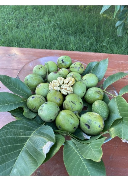 1 kg Dalından Yeşil Kabuklu Gönderim Taze Süt Ceviz ( Lütfen Açıklamayı Okuyunuz) modelleri