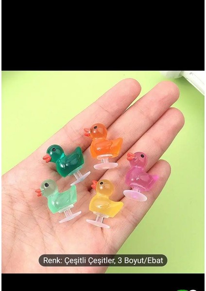 Crocs Jibbitz Terlik Süsü Ördekler 5 Adet Aydınlatma Ördekleri fiyatları