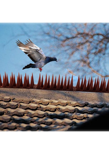 Dış Mekan Bariyer Kuş Kedi ve Hayvan Koruma Bariyeri 6 Metre Kahverengi fırsatları