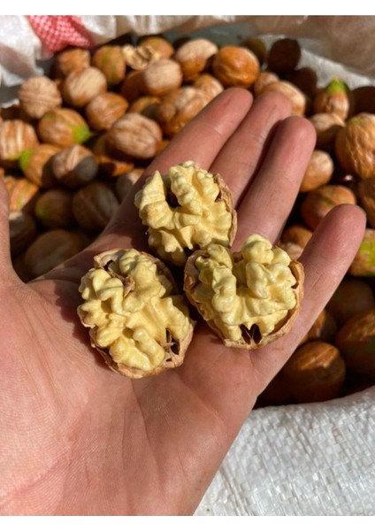 7 kg Ceviz Ince Kabuklu Chandler Cinsi Yerli Üretim Yeni Hasat fiyatları