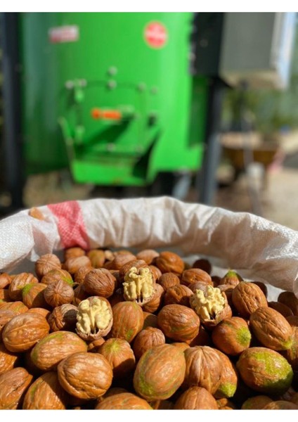 7 kg Ceviz Ince Kabuklu Chandler Cinsi Yerli Üretim Yeni Hasat fırsatları