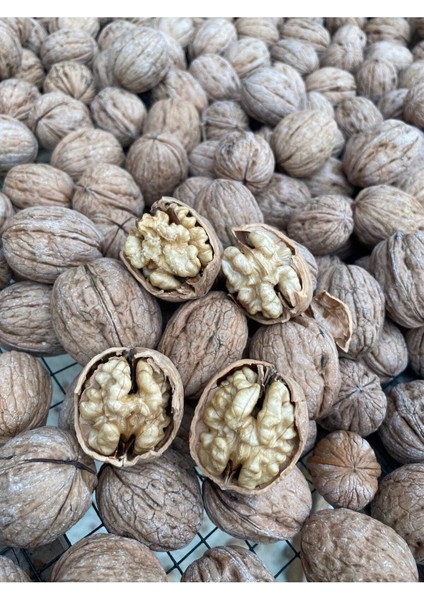 7 kg Ultra Lüks Ceviz Ince Kabuklu Chandler Cinsi Kuru Ceviz Yeni Hasat modelleri