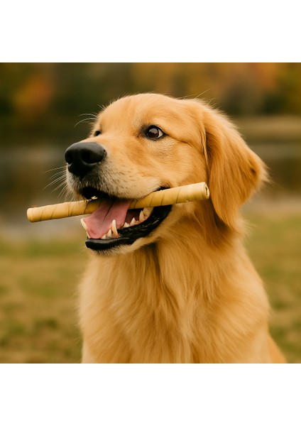 Burgu Çubuk Naturel- Köpek Stick -Köpek Ödülü