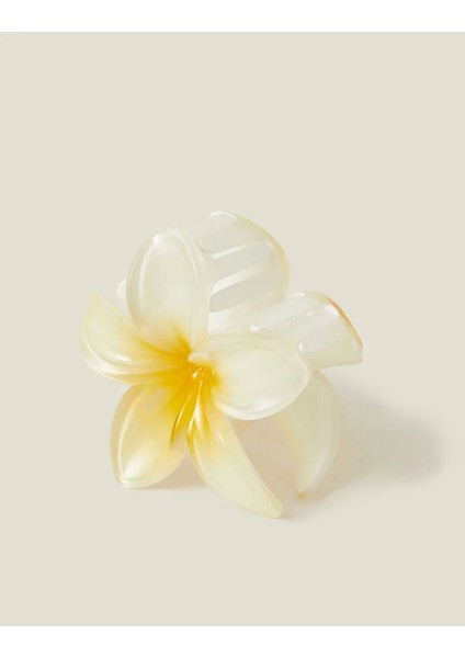 Çiçek Toka Sarı fiyatları