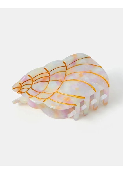 Conch Claw Toka Sedefli fiyatları