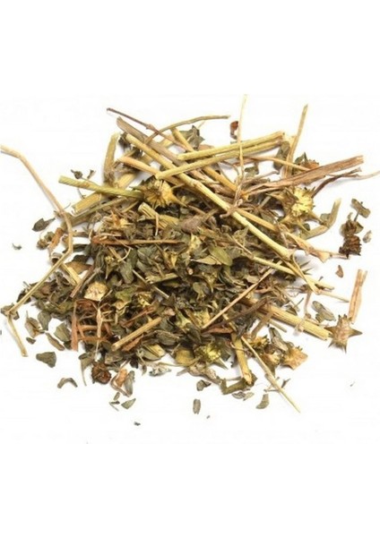 Çoban Çökerten - Tribulus Terrestris 50 G