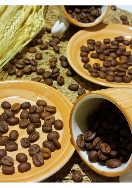 Somon 2'li Porselen Türk Kahvesi Fincanı Kutulu Renkli Fincan Seti Şık Sunumluk Fincan Takımı