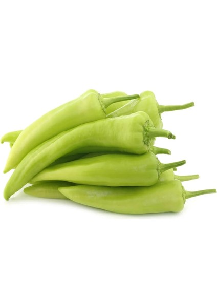 Yalova Çarliston Biber Tohumu Açık Tarla Sera Yetiştiriciliğine Uygun Sofralık