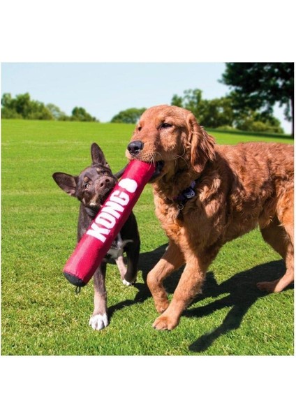 Signature Stick Çubuk Şeklinde Köpek Oyuncağı L fiyatları