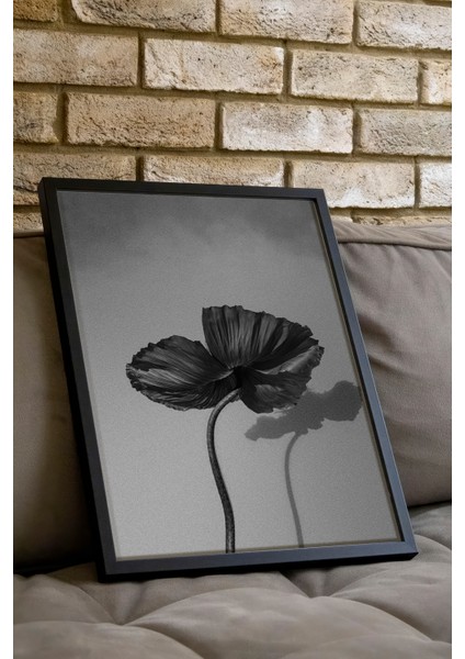 Siyah Çerçeveli Tablo, Siyah Beyaz Minimalist Gelincik Çiçeği, Ofis Dekoru Poster No: 113422 indirimleri