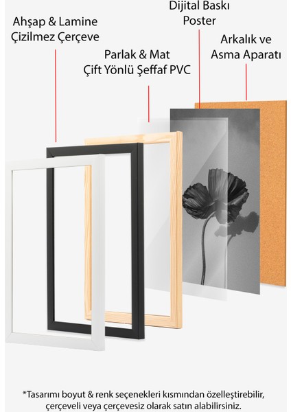 Siyah Çerçeveli Tablo, Siyah Beyaz Minimalist Gelincik Çiçeği, Ofis Dekoru Poster No: 113422