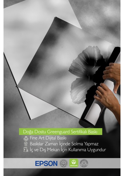Siyah Çerçeveli Tablo, Siyah Beyaz Minimalist Gelincik Çiçeği, Ofis Dekoru Poster No: 113422