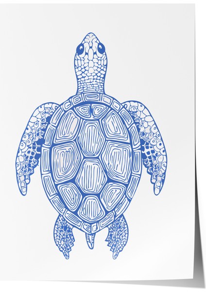 Çerçevesiz Poster, Mavi Deniz Kaplumbağası, Çocuk Odası Dekoru Poster No: 113738