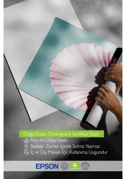 Siyah Çerçeveli Tablo, Pembe Deniz Kabuğu Tasarımı, Banyo Dekoru Poster No: 113800