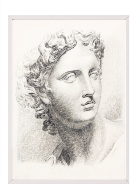Beyaz Çerçeveli Tablo, Klasik Heykel Portresi Çizim, Ofis Dekoru Poster No: 113633