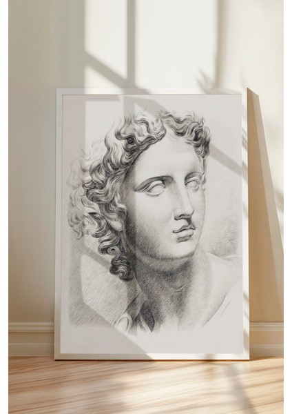 Beyaz Çerçeveli Tablo, Klasik Heykel Portresi Çizim, Ofis Dekoru Poster No: 113633 modelleri