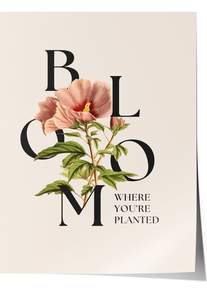 Çerçevesiz Poster, Bloom Tipografik Çiçek Tasarımı, Ofis Dekoru Poster No: 113555