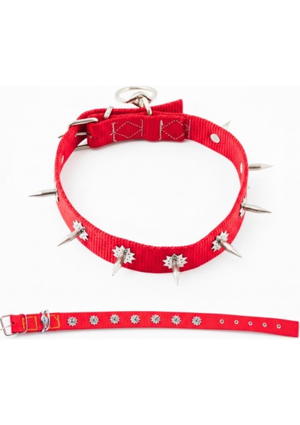 Dokuma Çivili Köpek Boyun Tasması - 4*70 cm - Kırmızı