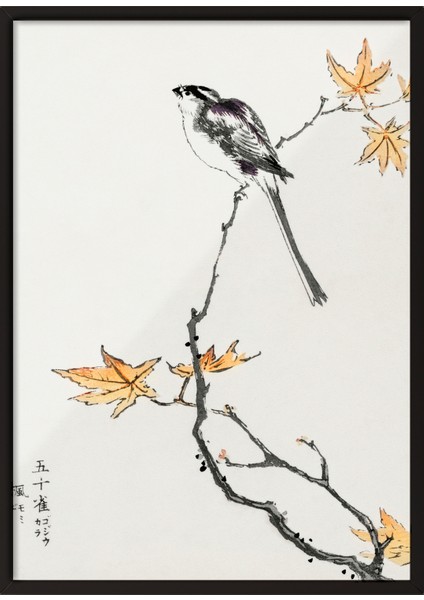 Siyah Çerçeveli Tablo, Dal Üzerinde Kuş Deseni, Salon Dekoru Poster No: 113483