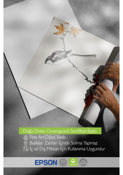 Siyah Çerçeveli Tablo, Dal Üzerinde Kuş Deseni, Salon Dekoru Poster No: 113483