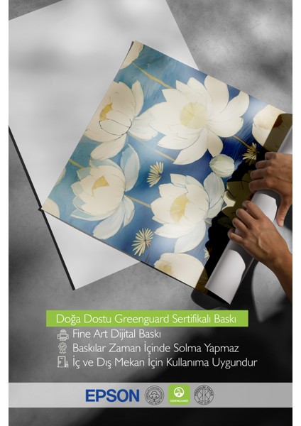 Çerçevesiz Poster, Lotus Çiçekleri Mavi Zemin Üzerinde, Salon Dekoru Poster No: 113339