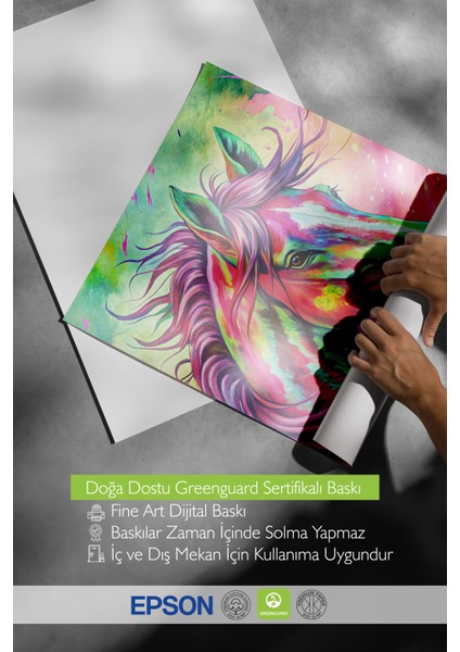 Siyah Çerçeveli Tablo, Renkli Soyut At Tasarımı, Genç Odası Dekoru Poster No: 113722