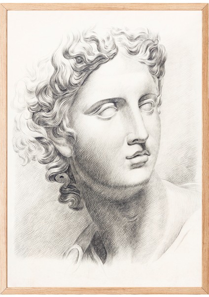 Ahşap Çerçeveli Tablo, Klasik Heykel Portresi Çizim, Ofis Dekoru Poster No: 113633