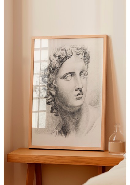 Ahşap Çerçeveli Tablo, Klasik Heykel Portresi Çizim, Ofis Dekoru Poster No: 113633 fiyatları